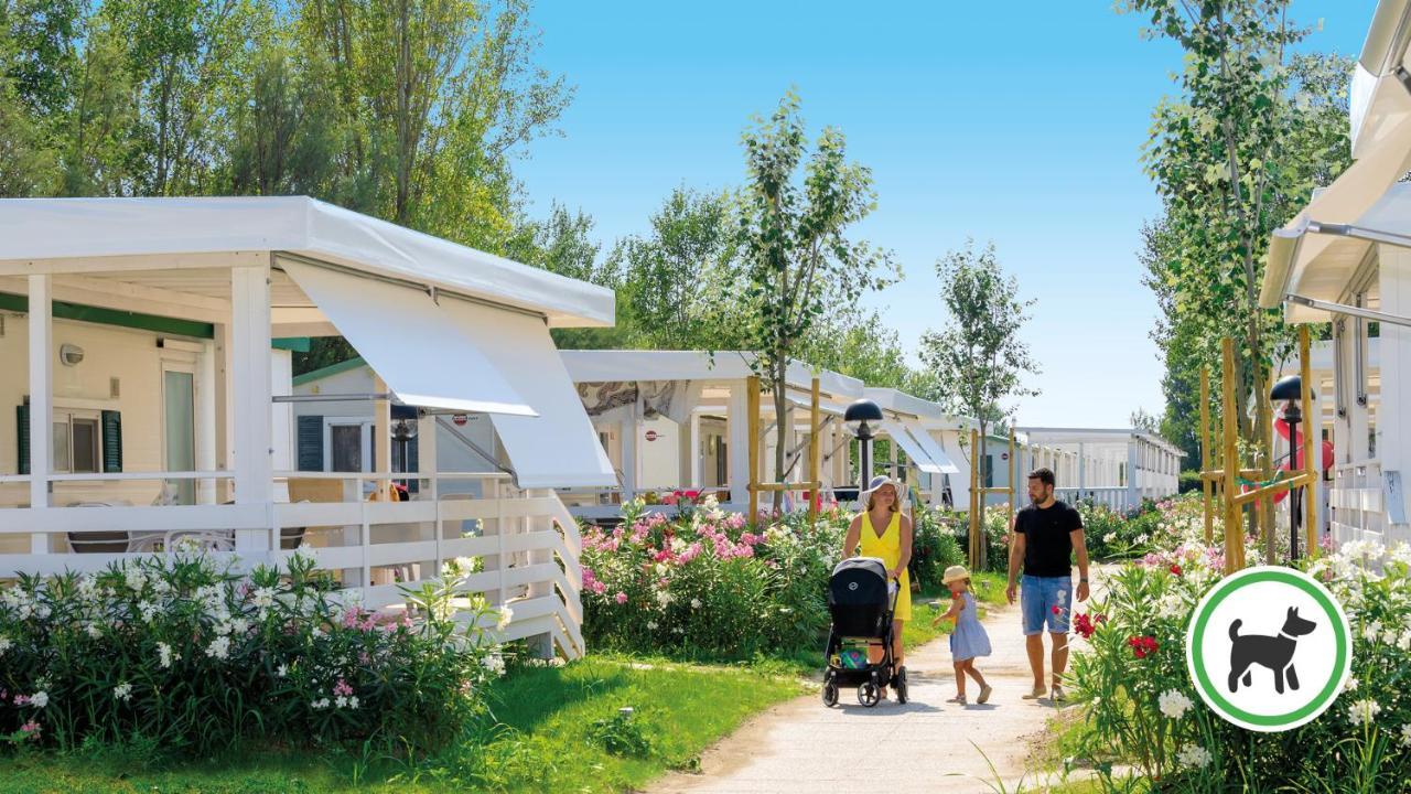 Größeres Mobilheim mit 2 Schlafzimmern und Gartenblick