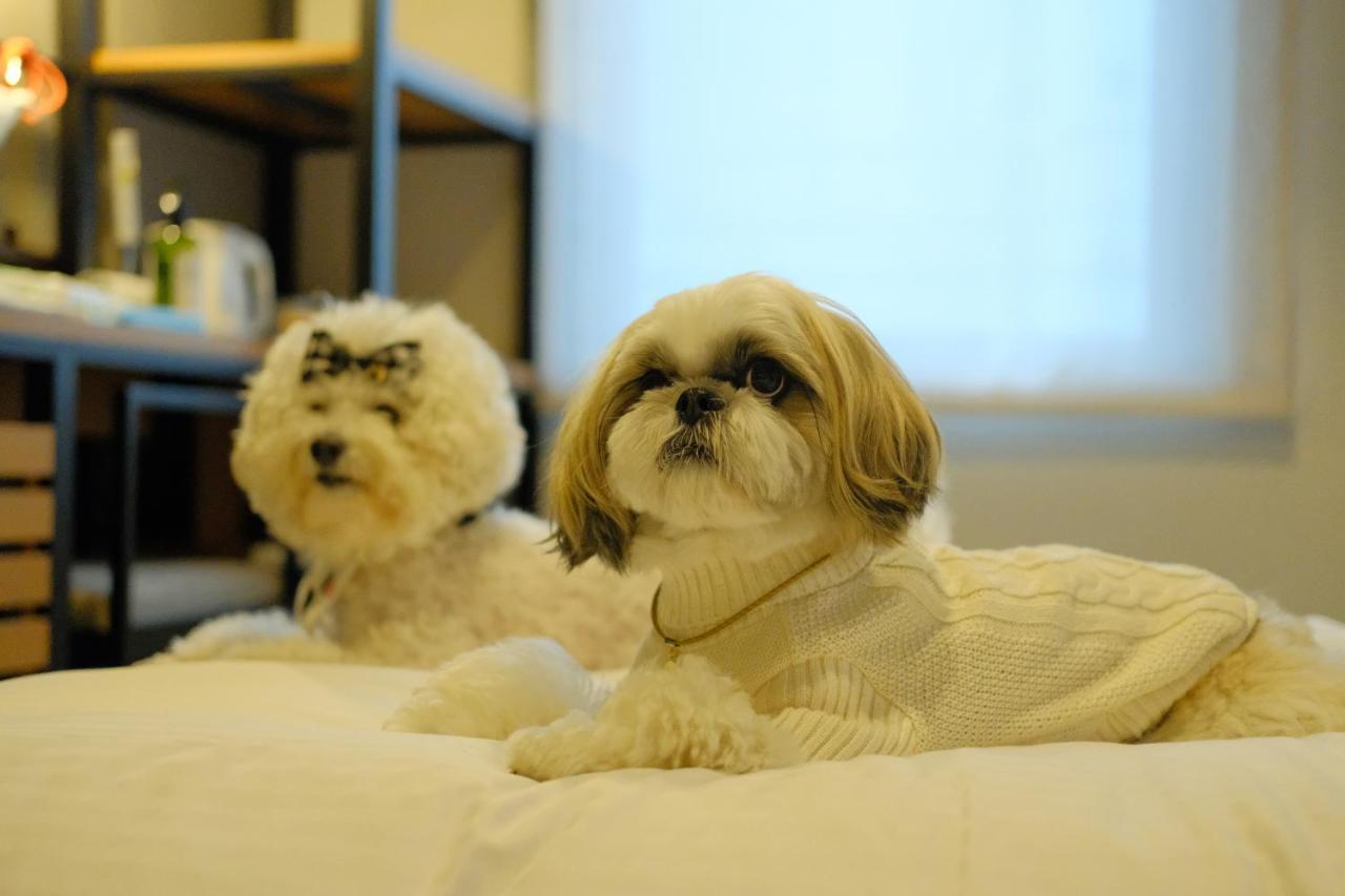 Hundefreundliches Deluxe Zweibettzimmer (für 2 Hunde) - Nichtraucher