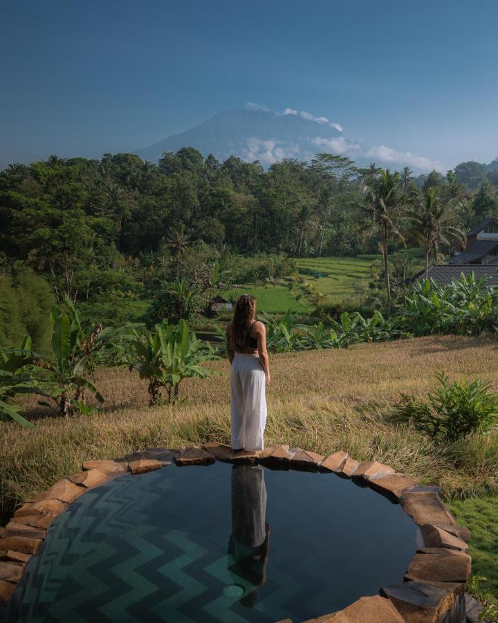 Cobra
