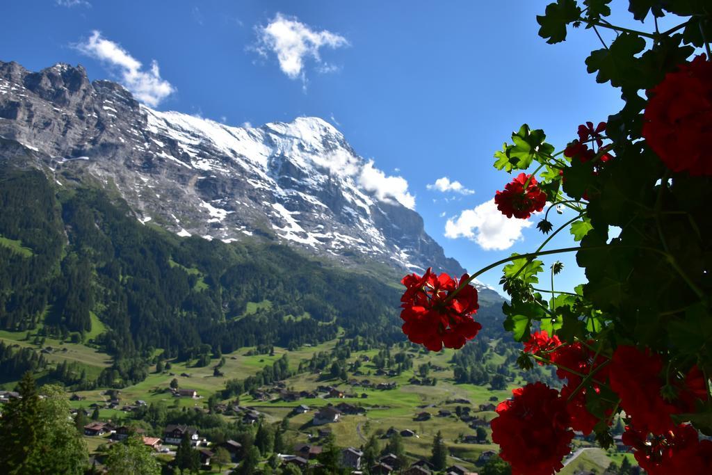 Superior Doppelzimmer Enzian mit Blick auf den Eiger und Zugang zum Garten