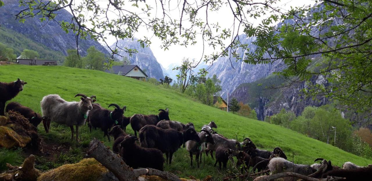 Cottage mit 3 Schlafzimmern