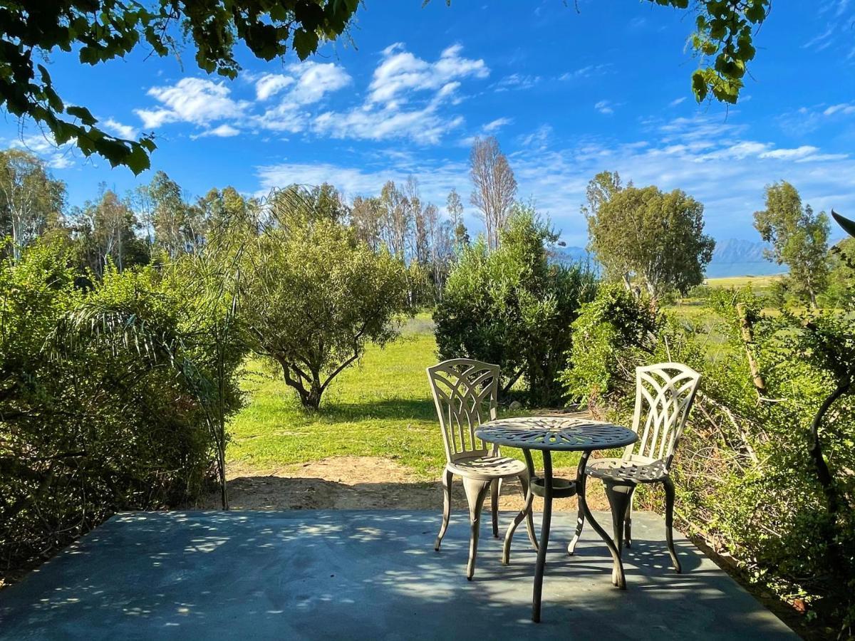 Junior Suite mit Gartenblick