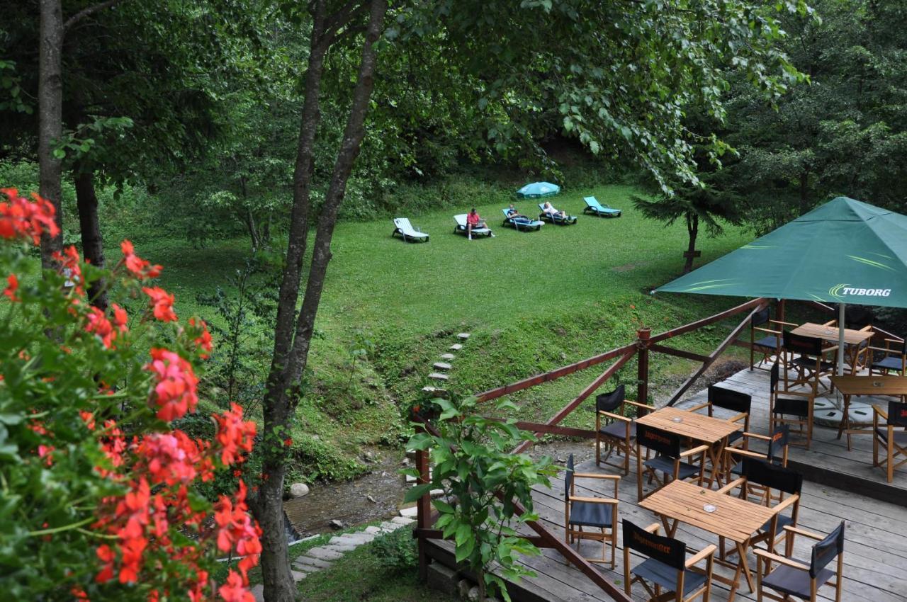 Suite mit 1 Schlafzimmer
