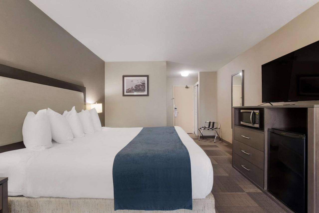 Zimmer mit Kingsize-Bett – Nichtraucher