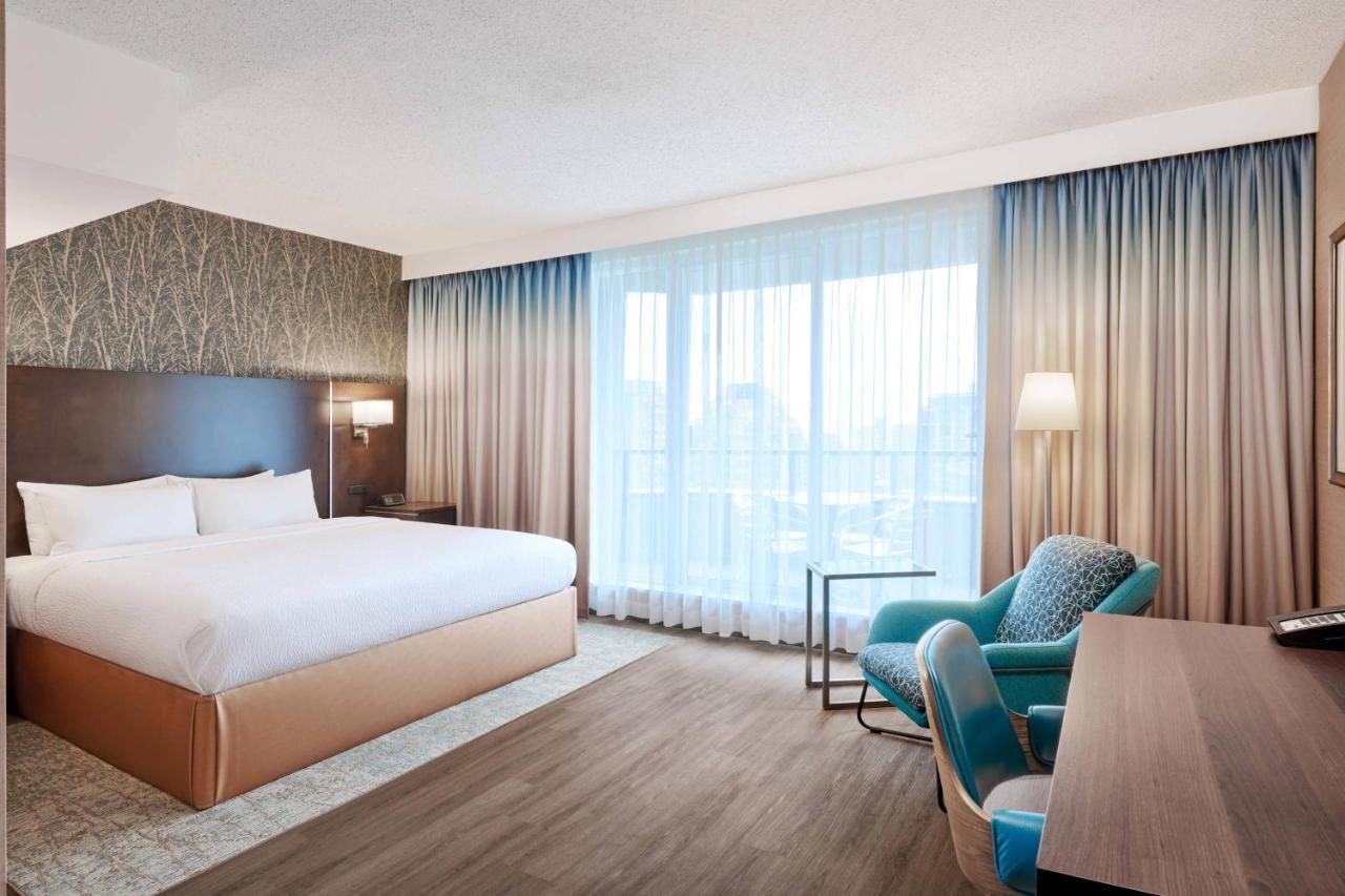 Skyline Studio-Suite mit Kingsize-Bett