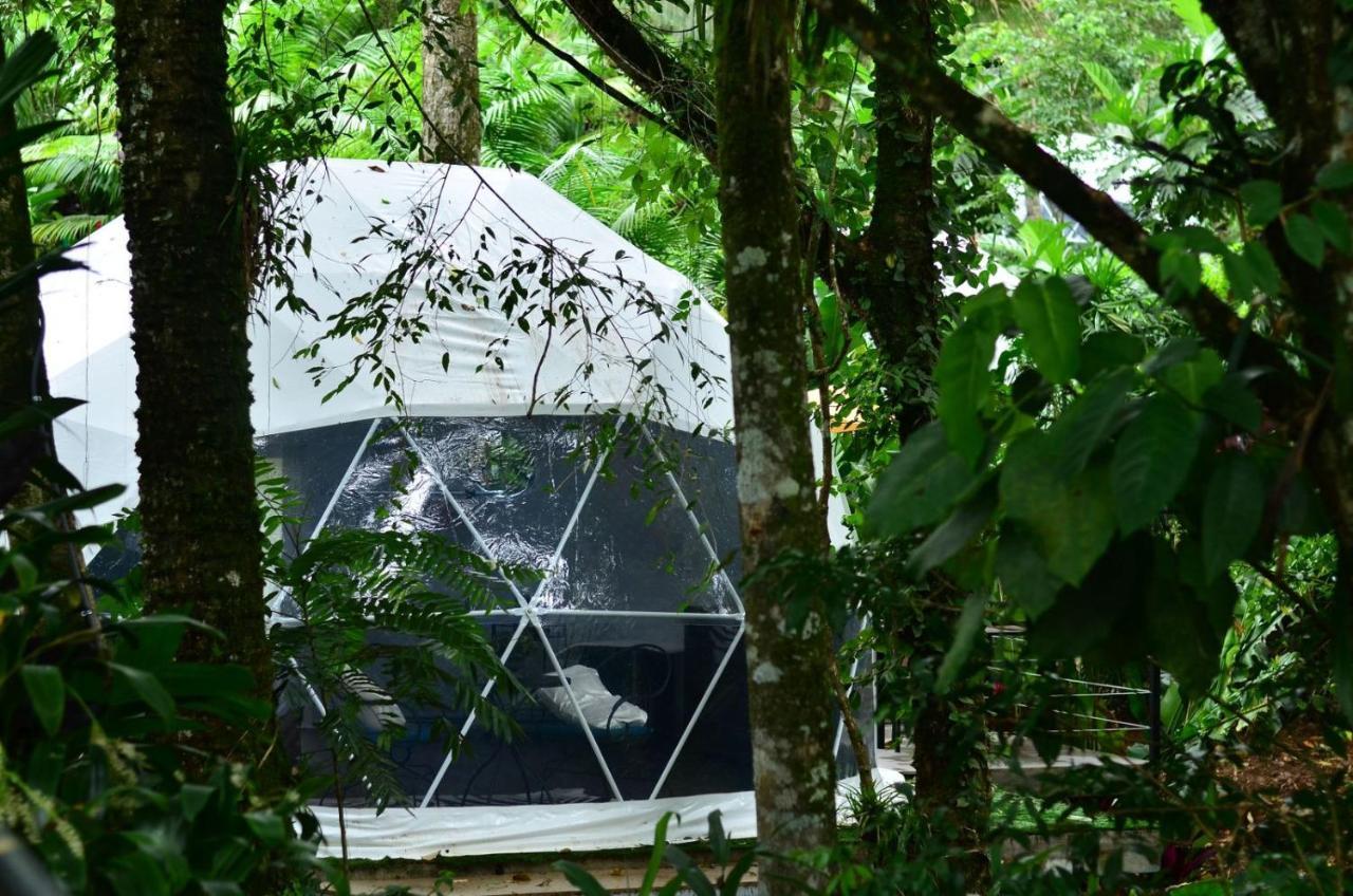 Premium Glamping Suite