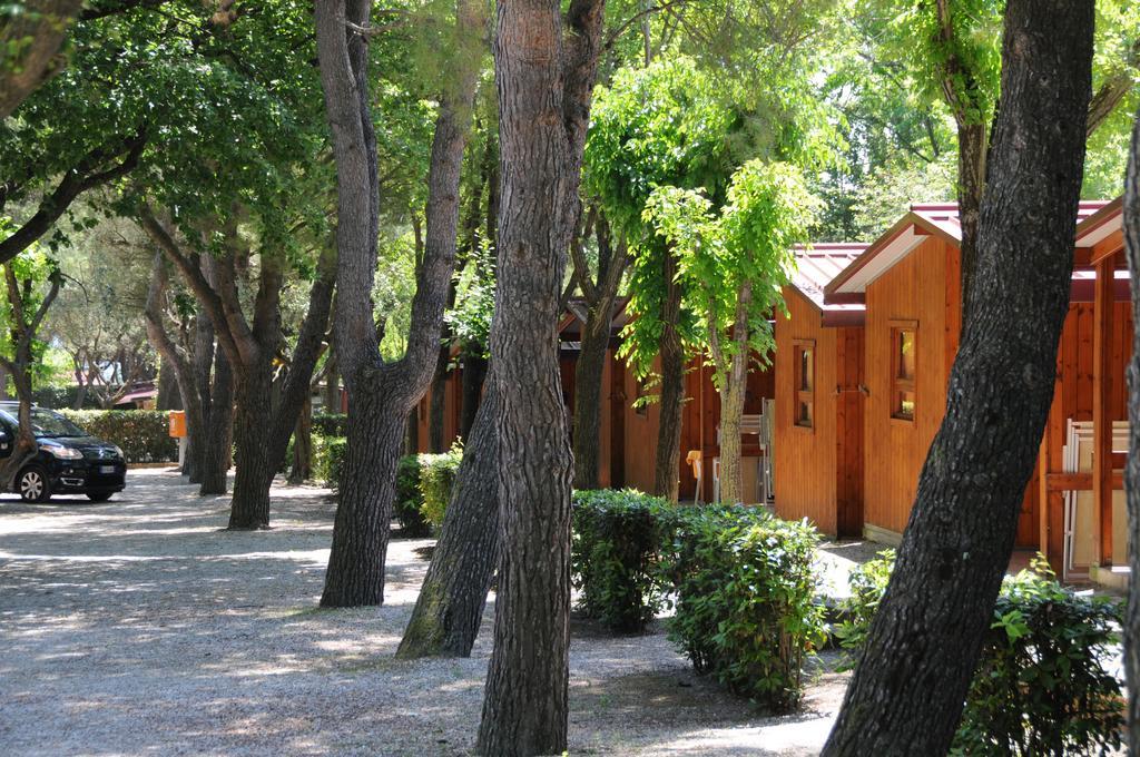 Bungalow (3 Erwachsene)