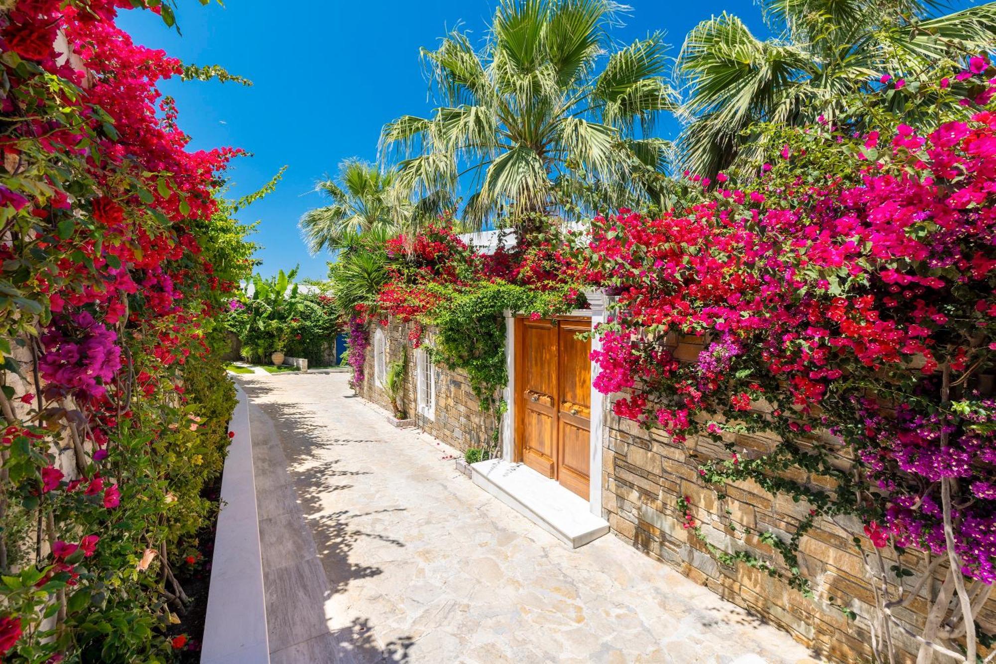 Deluxe Villa mit 1 Schlafzimmer und eigenem Pool sowie eigenem Strandbereich