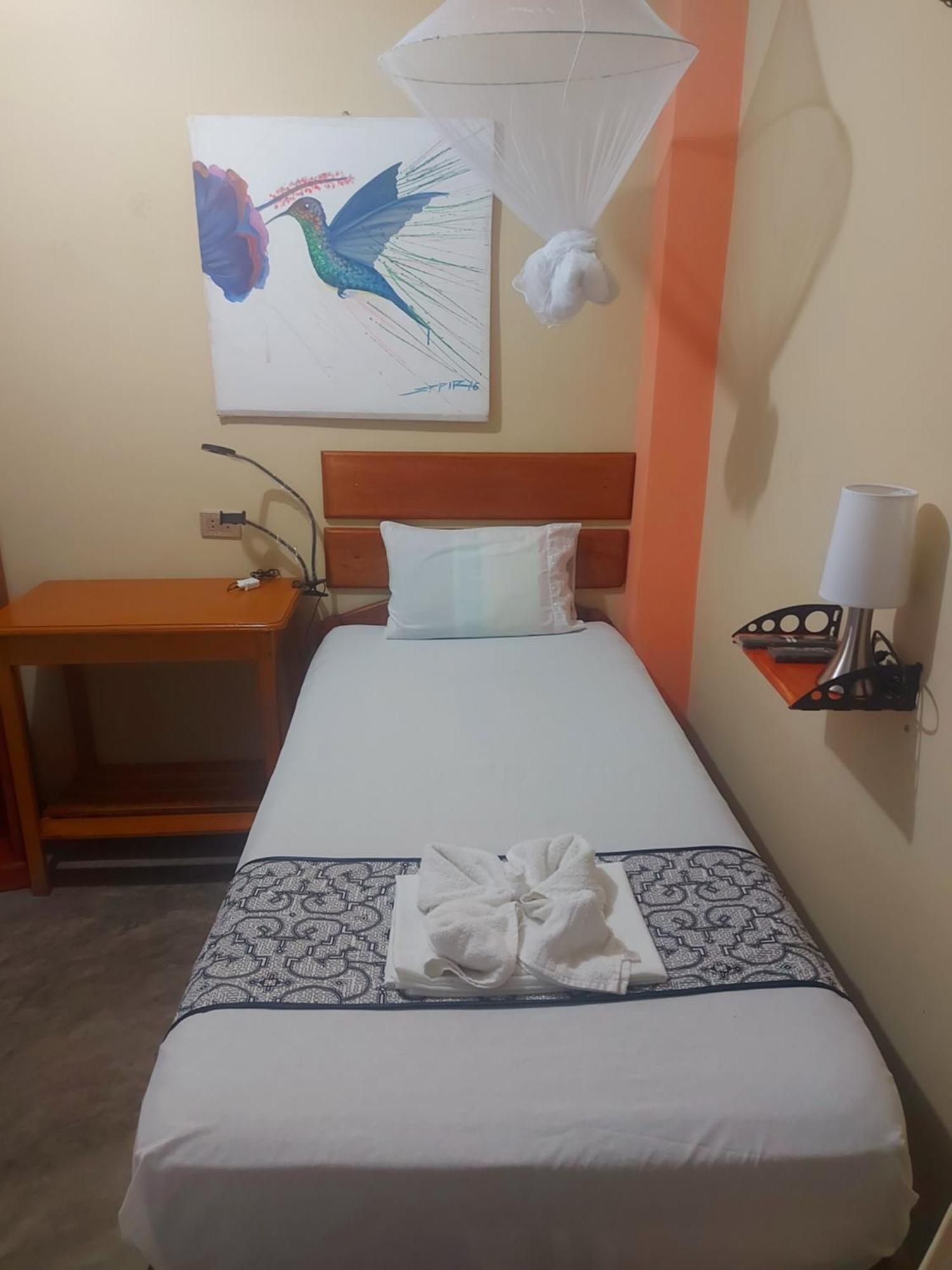 Economy Single Room,1742942343:JPEG
