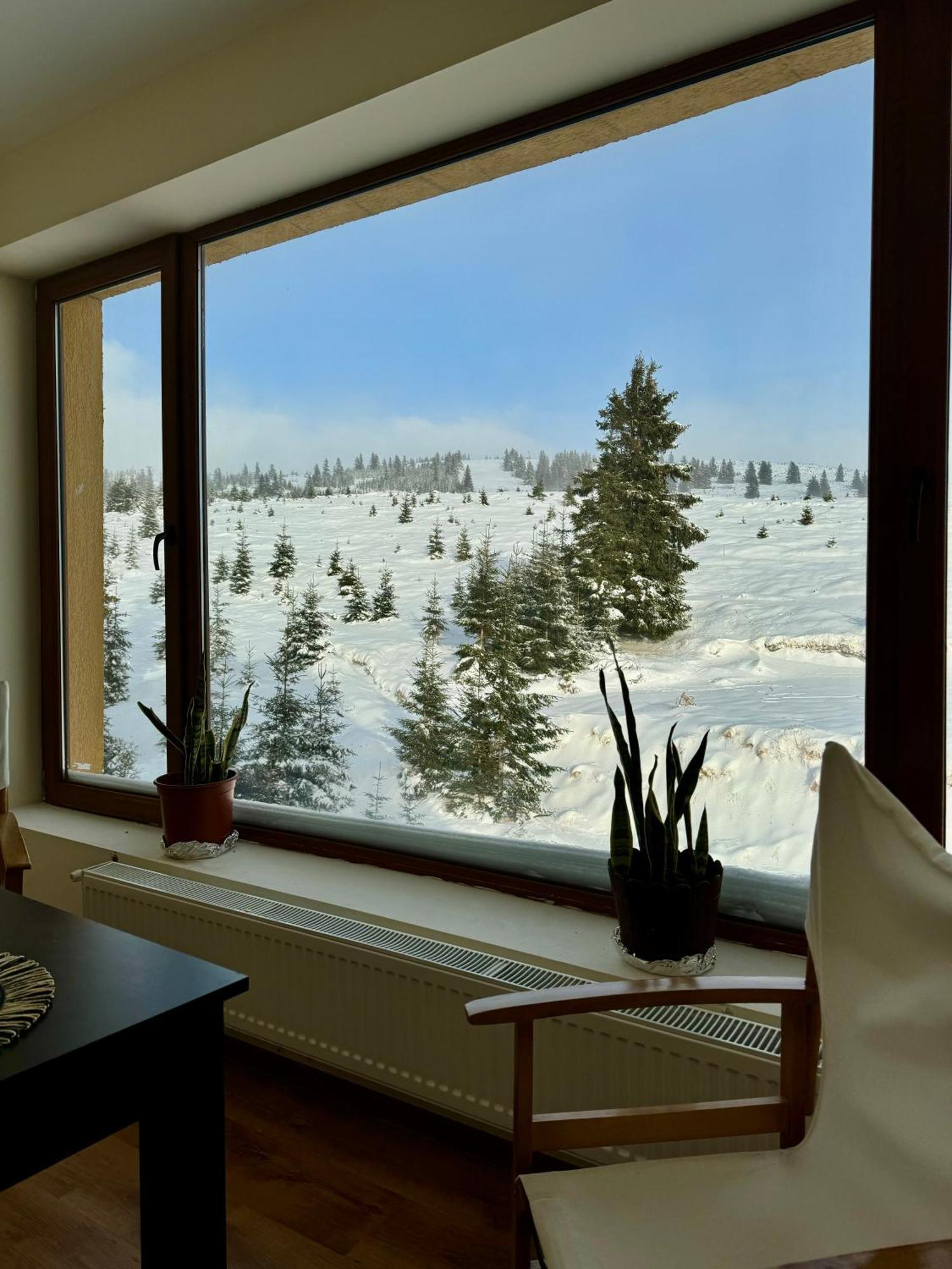 Premium Vierbettzimmer