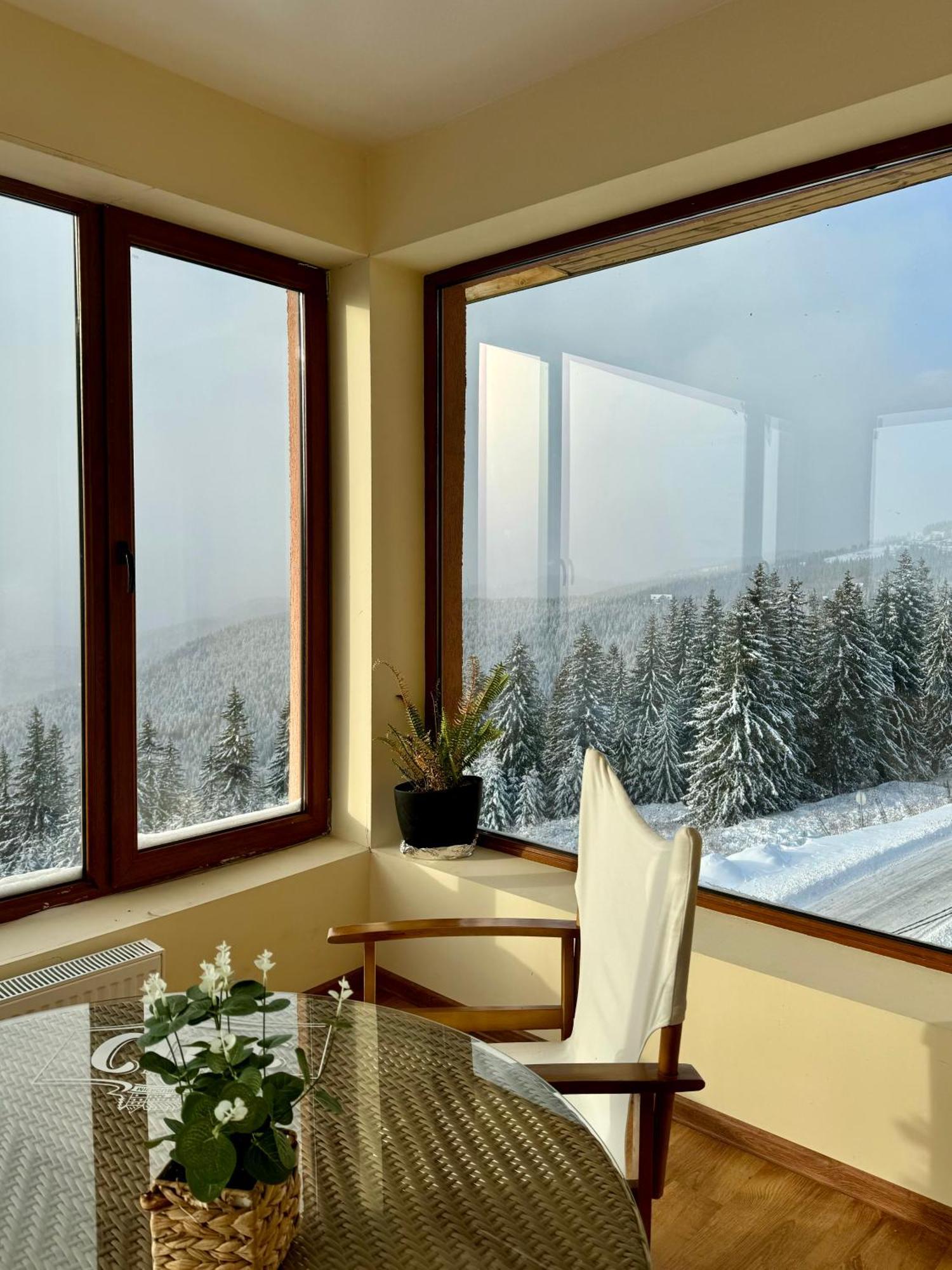 Premium Vierbettzimmer