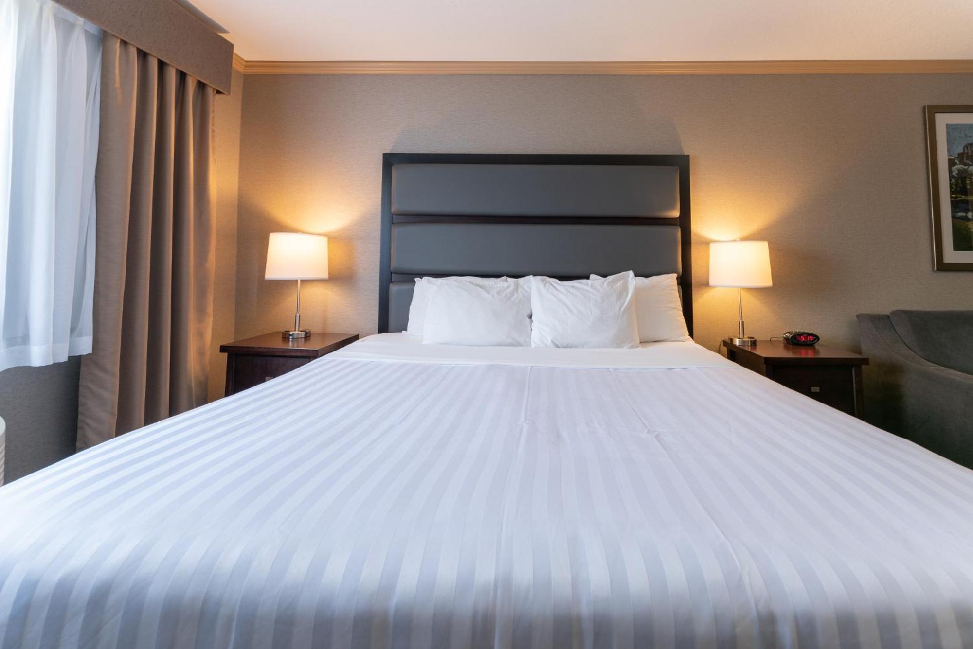 Zimmer mit Kingsize-Bett mit Schlafsofa - Nichtraucher