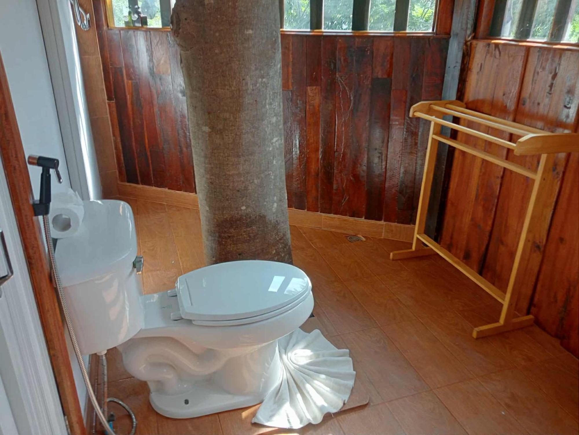 Deluxe Villa,1733159851:JPEG