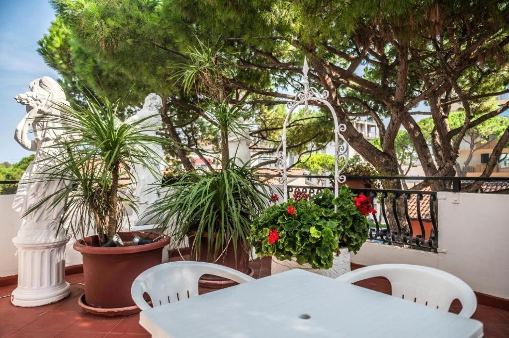 Vierbettzimmer mit Terrasse