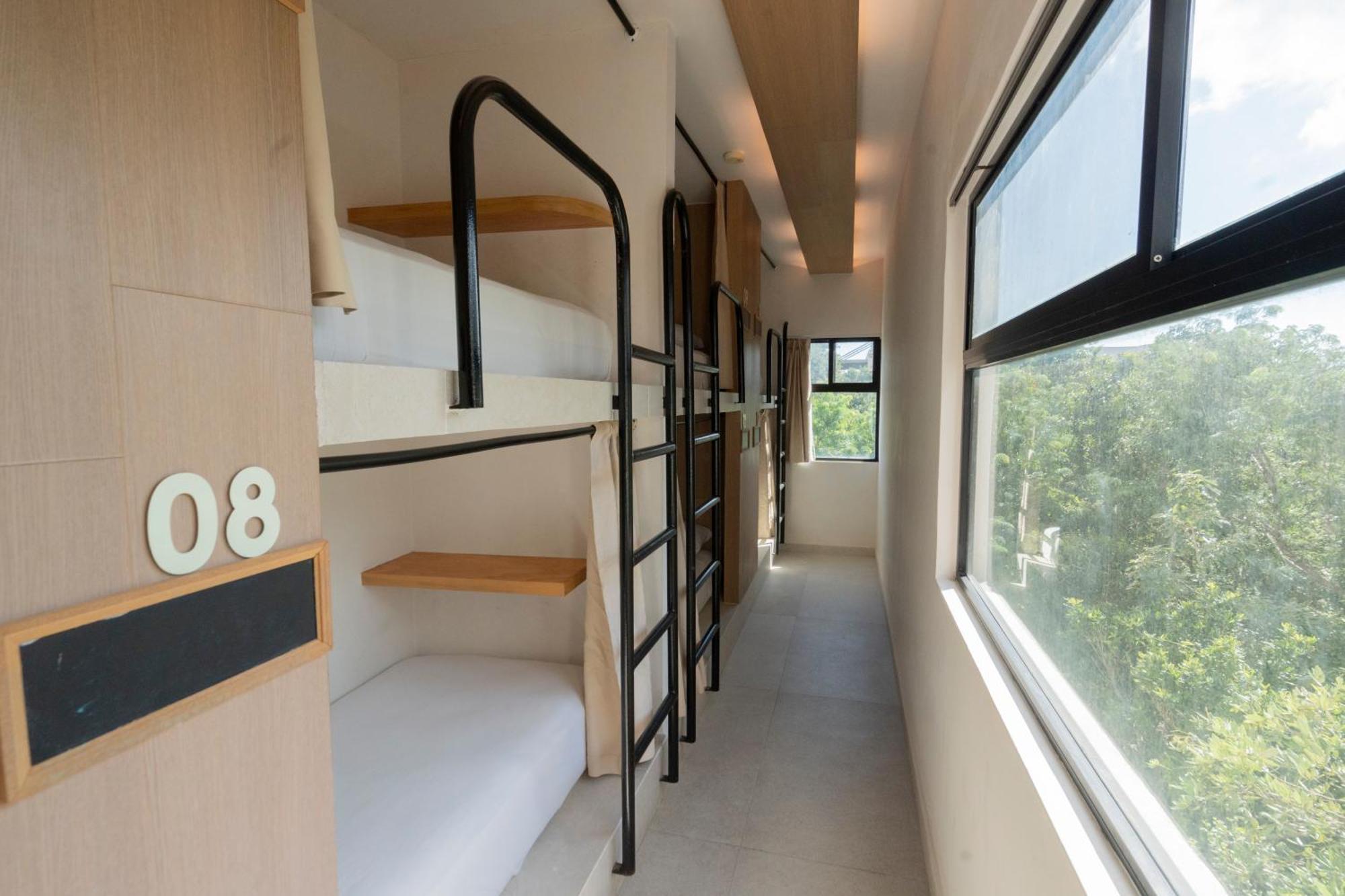 Bett im gemischten Schlafsaal mit 12 Betten