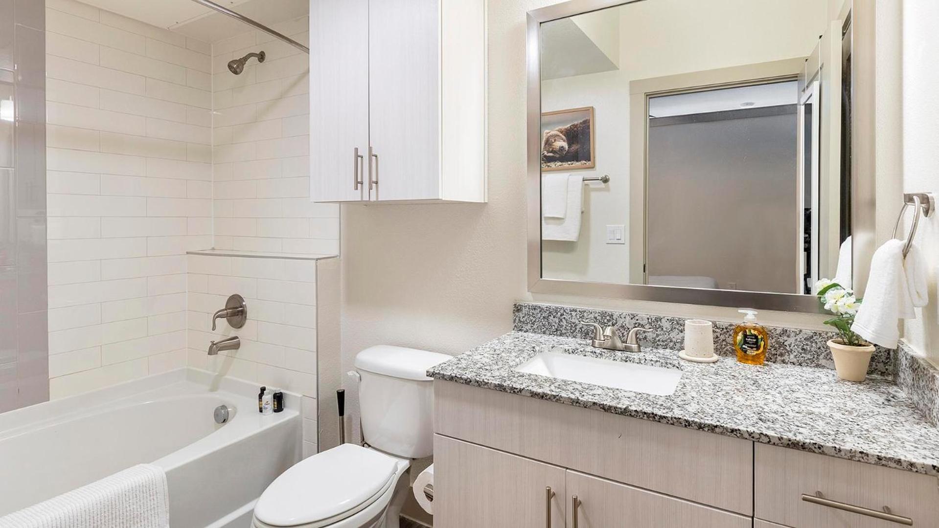Studio Apartment