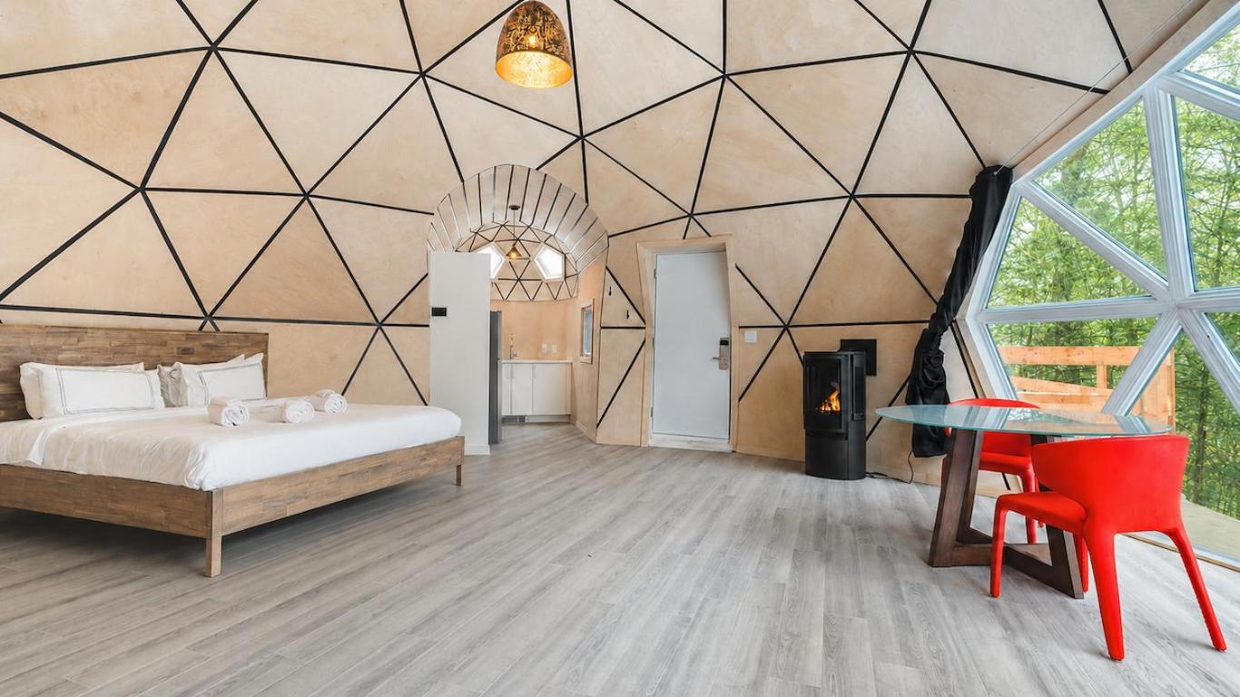 Mickey Dome