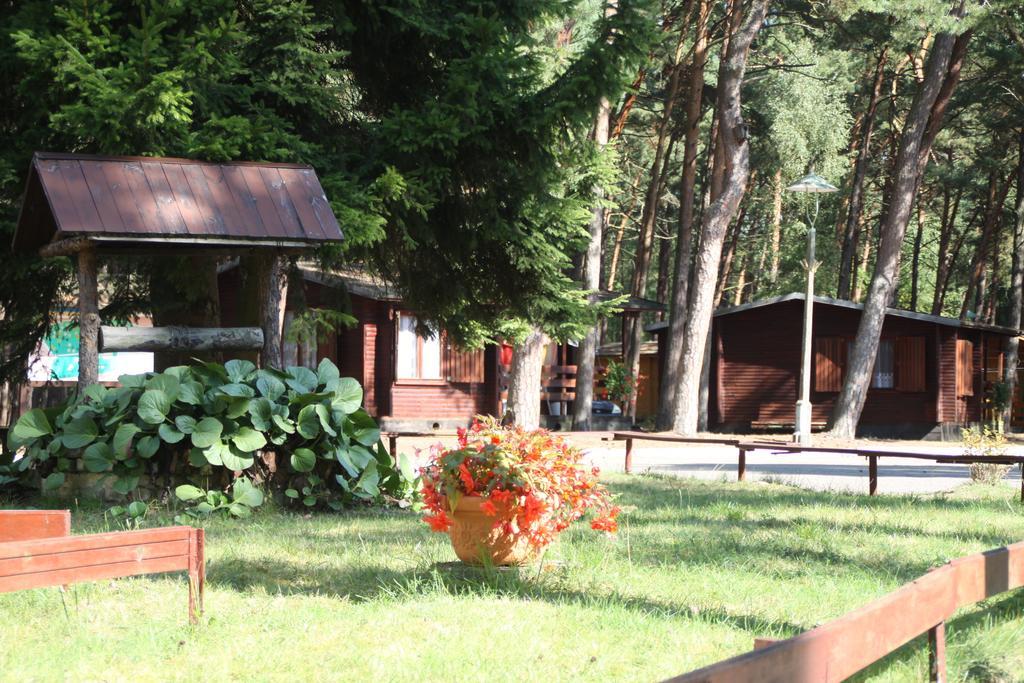 Standard Bungalow