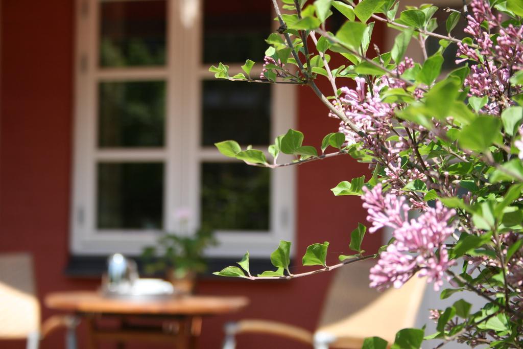 Standard Doppel-/ Zweibettzimmer mit Terrasse