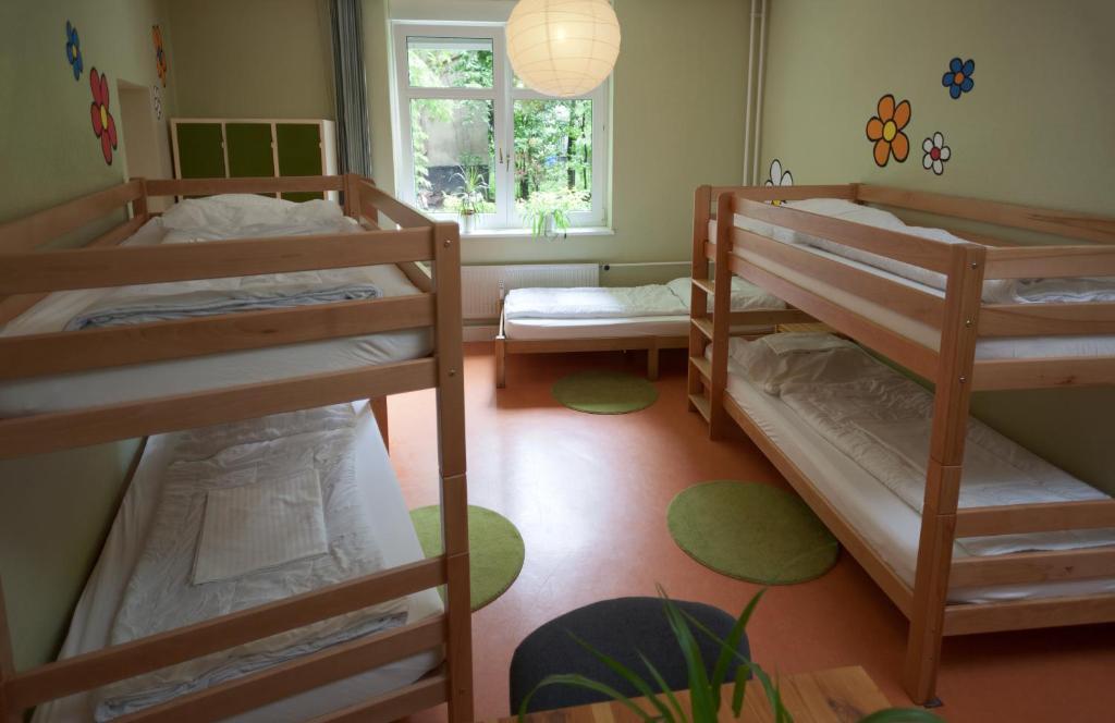Einzelbett im 5-Betten-Schlafsaal (Frauen)