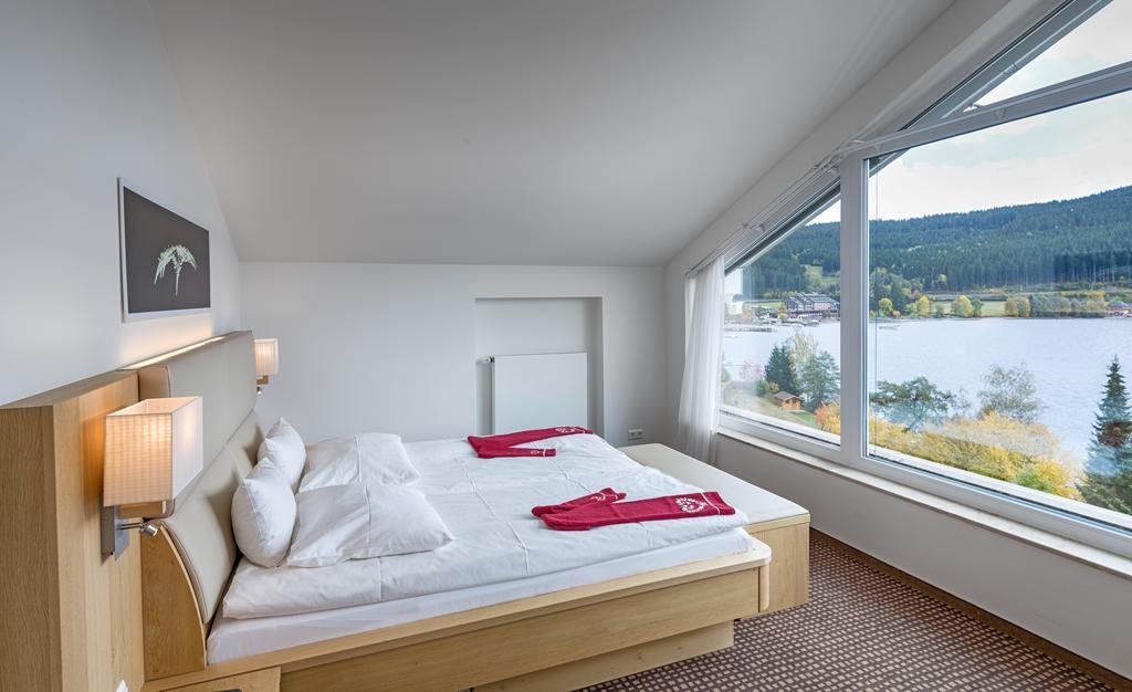 Panorama-Suite Feldberg