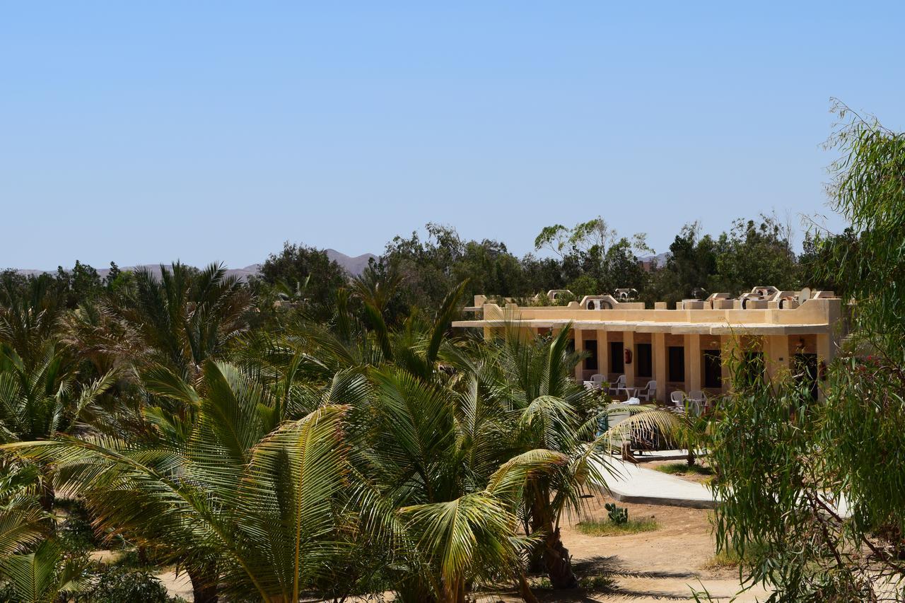 Bungalow mit Gartenblick