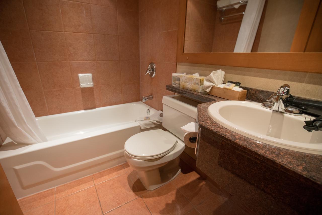 Deluxe Apartment mit 1 Schlafzimmer und 2 Queensize-Betten