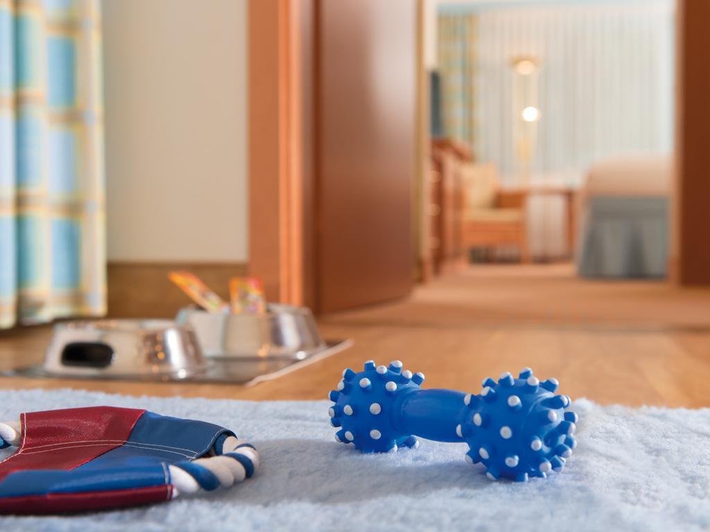 Doppelzimmer für Hundehalter