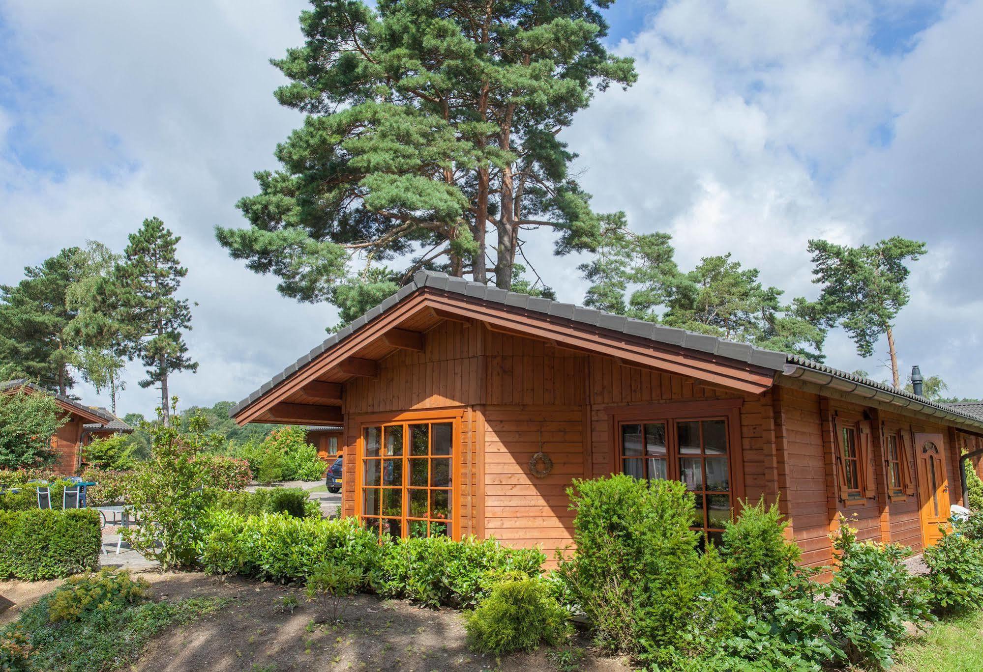 Chalet mit 3 Schlafzimmern - Boekhorst Royal 6
