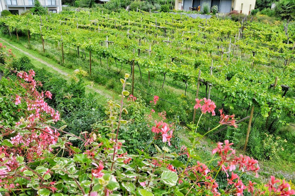 Zweibettzimmer mit Balkon