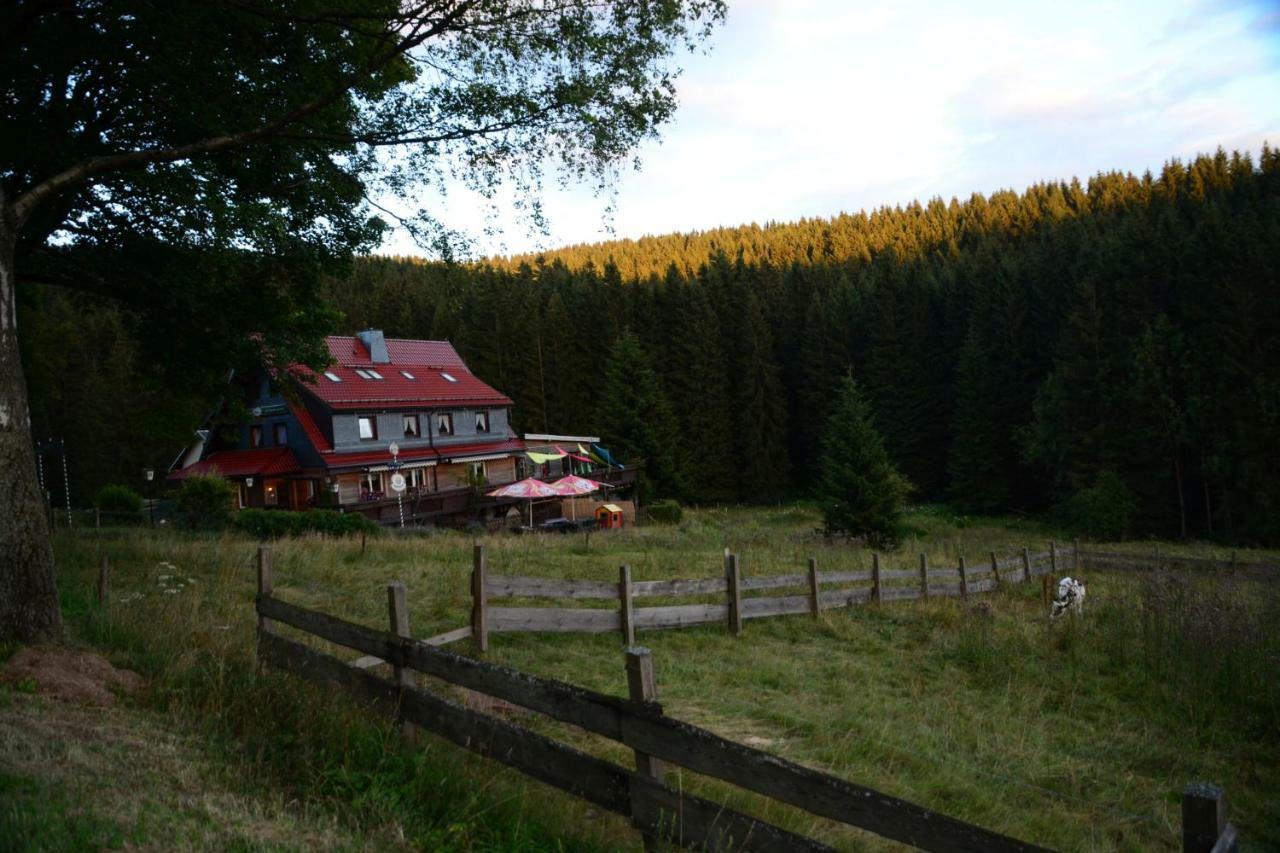 Apartment mit Terrasse