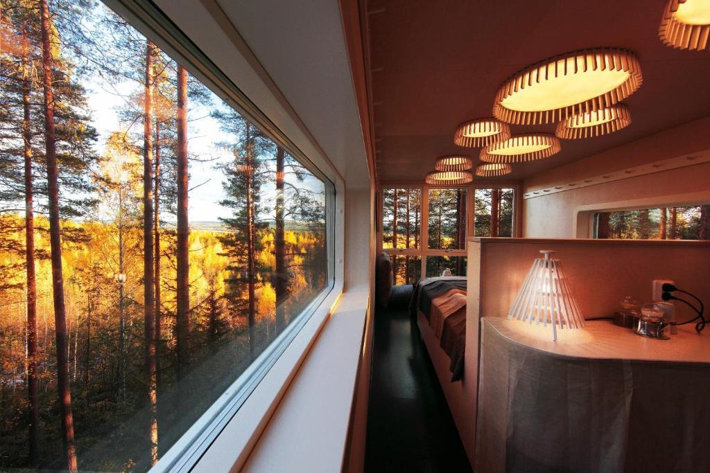 The Cabin