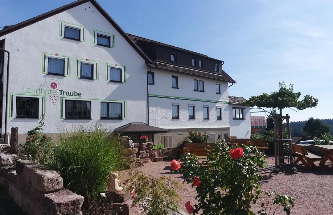 Landhotel Traube-1