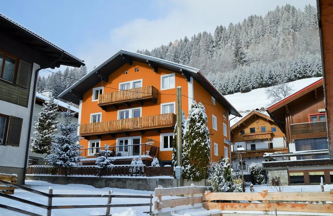 Aparthotel Pinzgau-1
