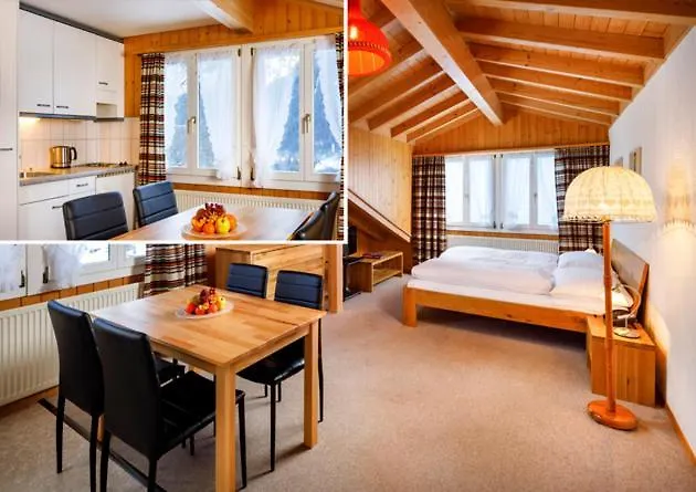 Chalet Altenhaus-1