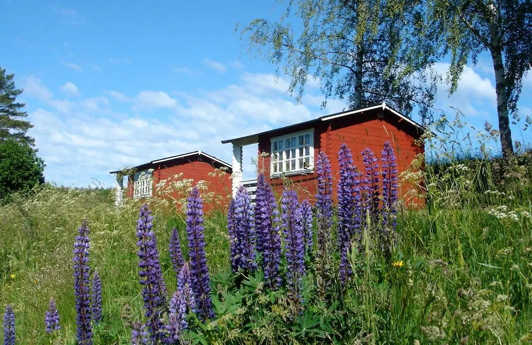 Yxningens Holiday Homes, Cottages And Camping-1