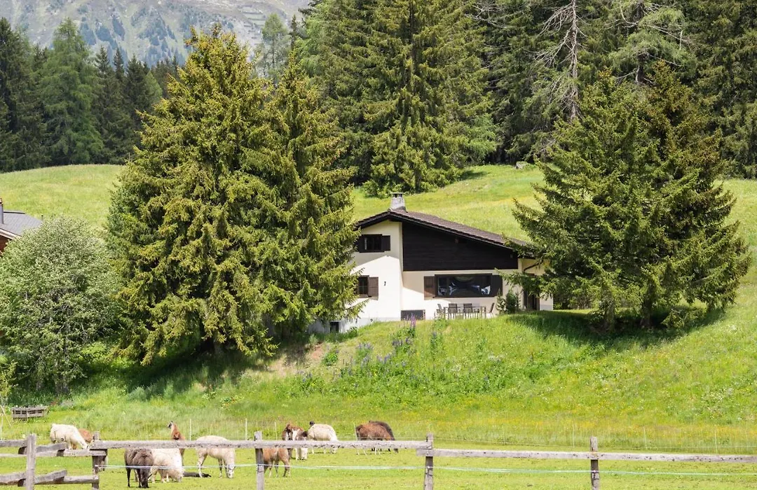 Chalet Laret-1