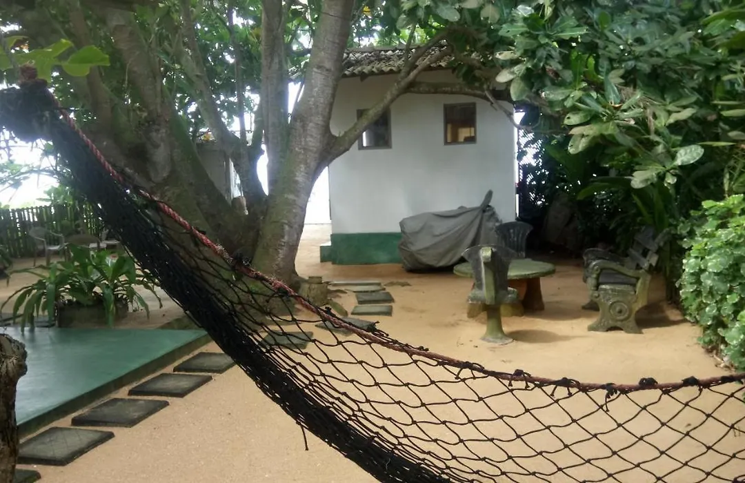 Green Villa Beach And Juice Bar-1