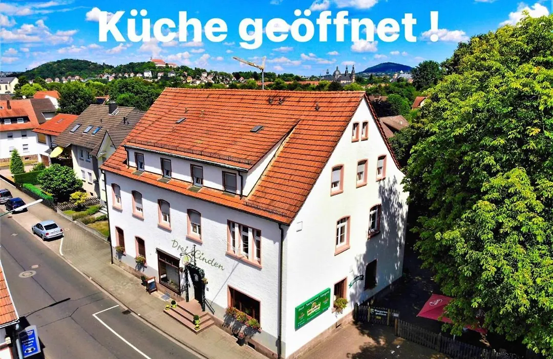 Hotel Gasthof Metzgerei Drei Linden-1