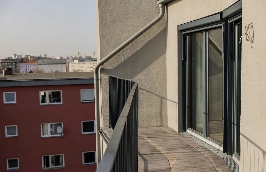 Homaris Kreuzberg 61-1