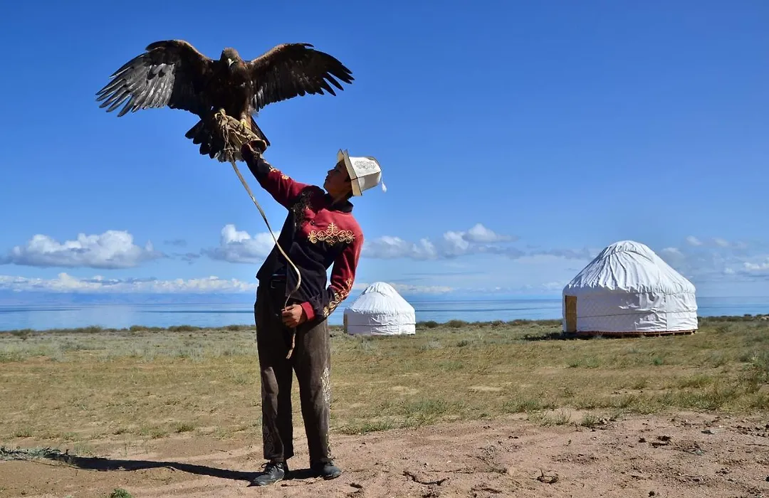 Feel Nomad Yurt Camp-1