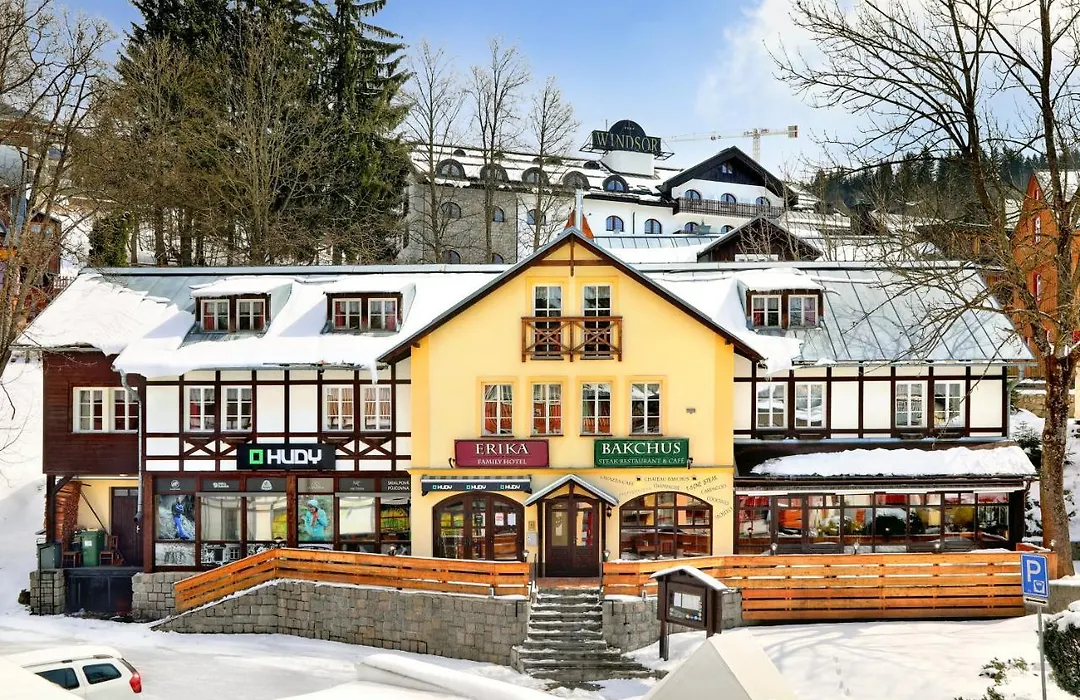 Hotel Erika-1