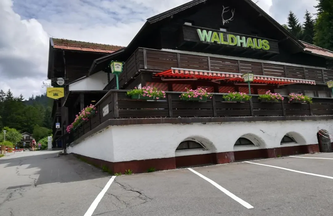 Hotel Waldhaus-1
