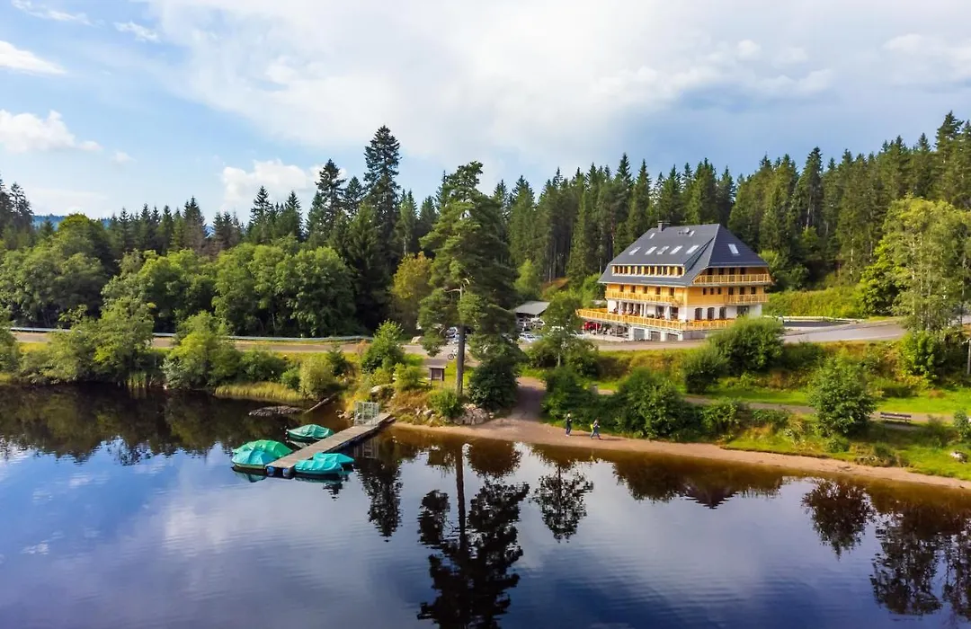 Köhlerei am See-1