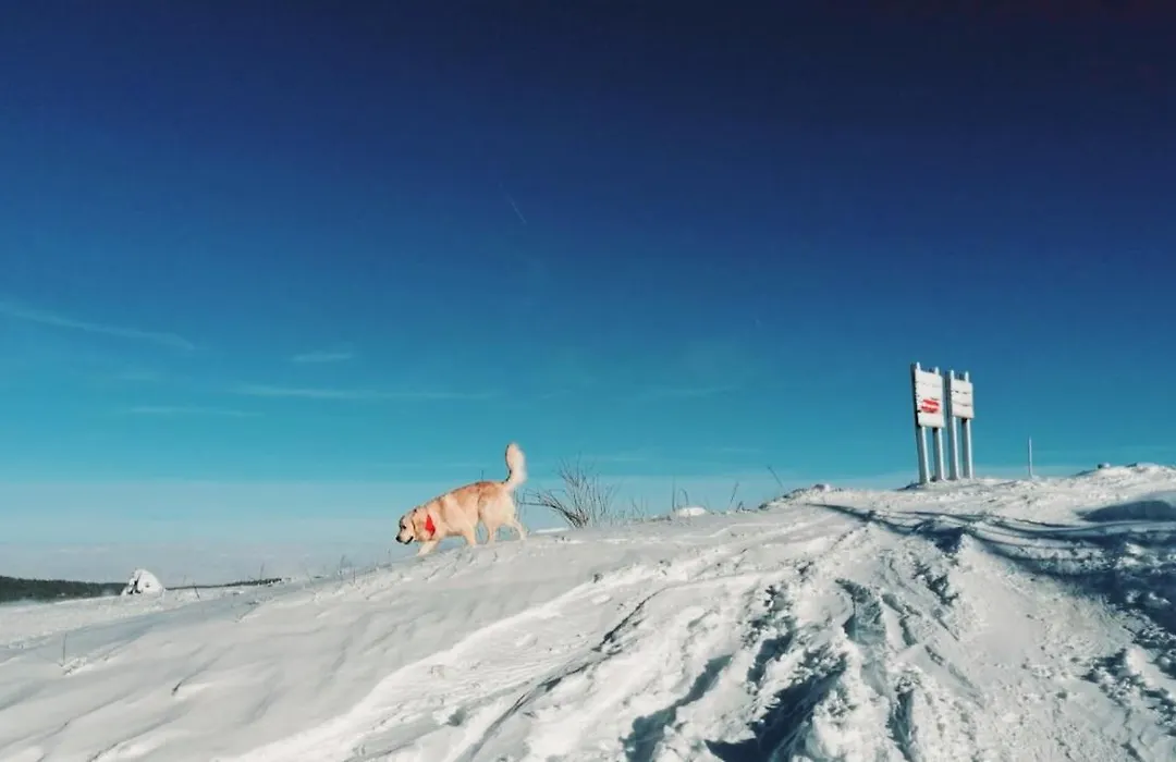 Pino Apartman Jahorina-1