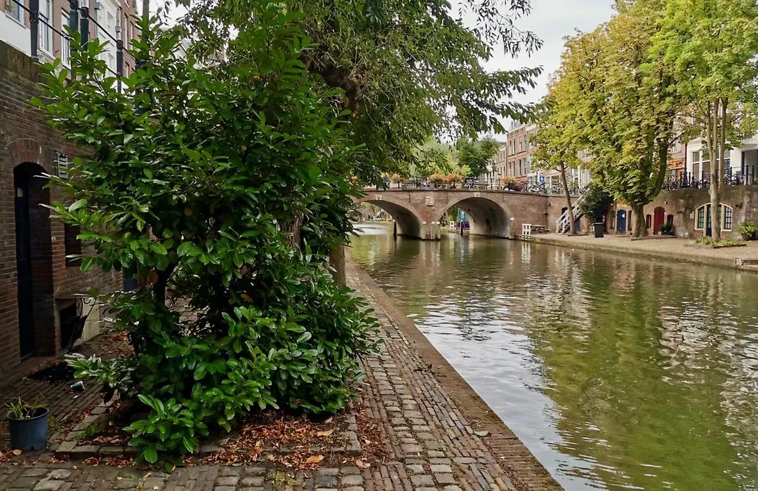 Werfkelder aan de Oudegracht-1