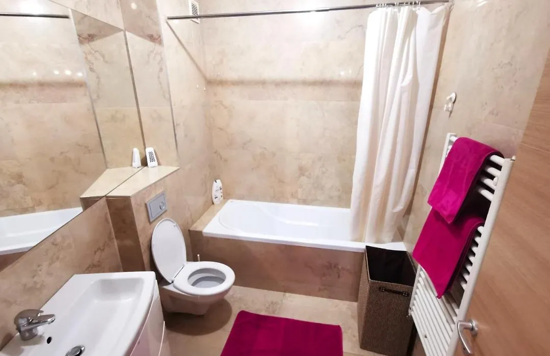 Contemporary Central Apartment In Cluj Napoca-1