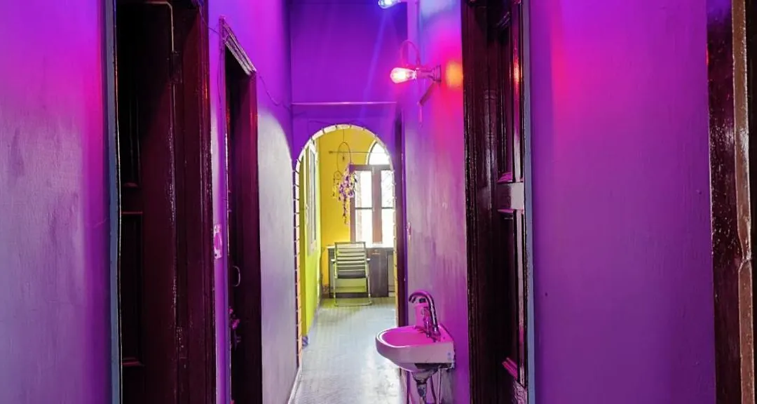 Startup House-1