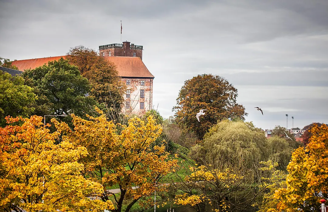Hotel Kolding-1