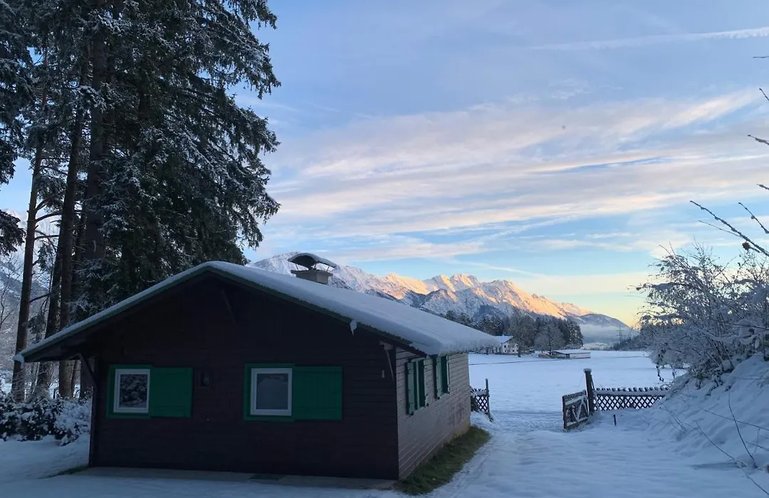 Waldchalet am Eichhof-1